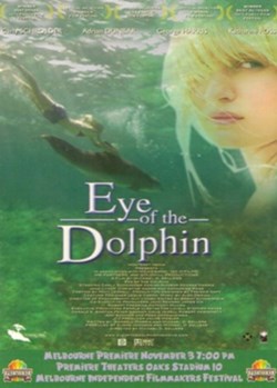 Eye of the dolphin