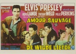 Amour sauvage
