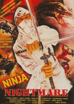 Ninja nightmare