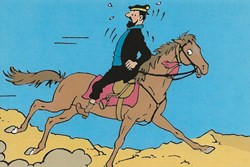 Tintin