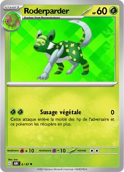 06 roderparder