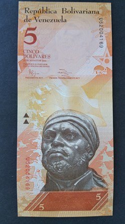 5 Bolivars 2014-Pedro Camejo