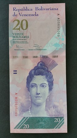 20 Bolivars 2014-Luisa Cáceres de Arismendi