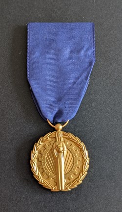 Médaille du mérite professionnel de la chambre des métiers et de l'artisanat de Moselle