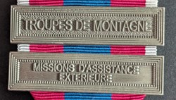 TROUPES DE MONTAGNE - MISSIONS D'ASSISTANCE EXTERIEURE