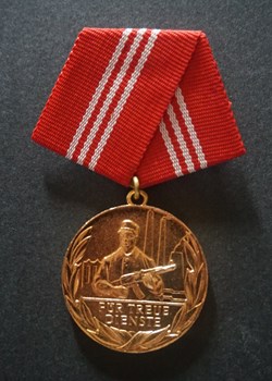Médaille pour services loyaux dans les groupes combattants de la classe ouvrière