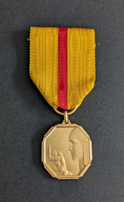 DIV - Médaille du grand prix du bien et du mérite de la F. N. E. F. D.