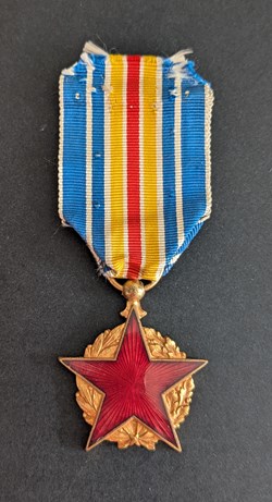 Médaille des Blessés de Guerre