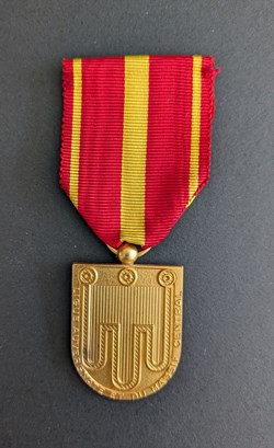 Médaille du mérite amicaliste de la ligue auvergnate et du Massif Central