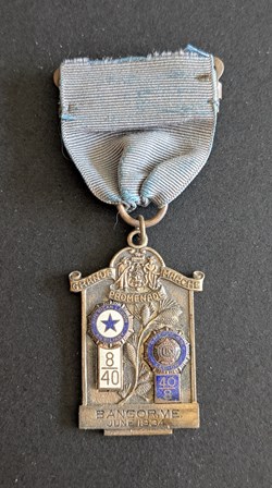Médaille de la grande promenade 1934 de la Société des 40/08