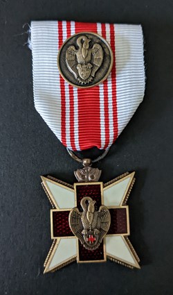 SAP - Médaille de reconnaissance du donneur de sang