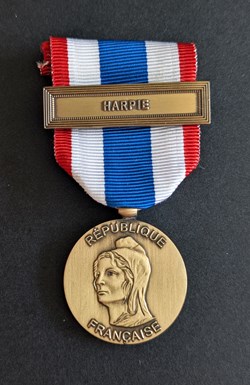 Médaille de la Protection Militaire du Territoire - HARPIE