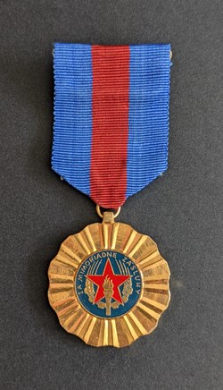 Médaille du mérite extraordinaire du comité fédéral de l’asso. de protection contre les incendies