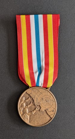 CIV - Médaille commémorative du tremblement de terre en Irpinia et Basilicate