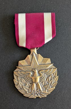 Meritorious Service Medal (MSM)