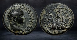 TITUS (79-81)