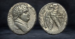 TITUS (79-81)