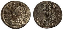 RC07012175 - CARVS Avg - Bi Antoninianvs - Ticinum; 282 AD