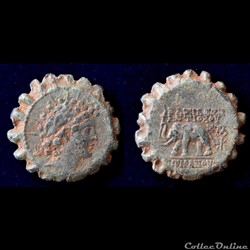 seleucia