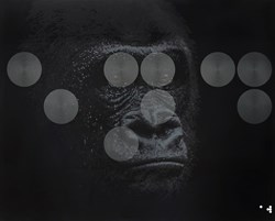 Kong