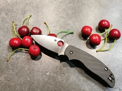 Spyderco Sage 5 C123CFCL