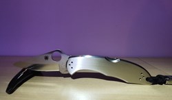 Spyderco Delica 4 C11P