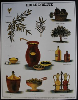Planche Documentation scolaire - Huile d'olive - "Les fils d'Emile Deyrolle"