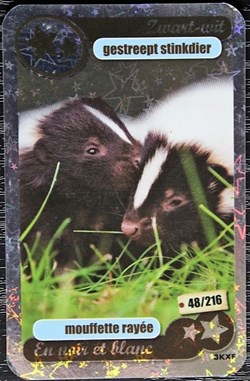 TCG Les héros de notre planète - 048 - Mouflette rayée - Rare Brillante