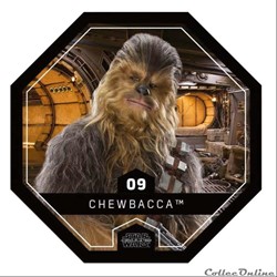 09 - Chewbacca