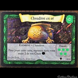 07 - Chaudron en or