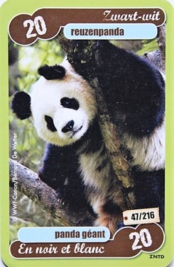 TCG Les héros de notre planète - 047 - Panda géant