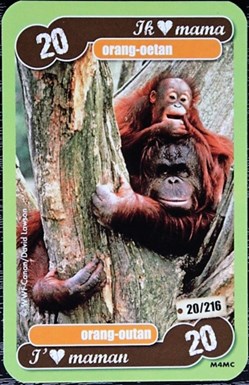 TCG Les héros de notre planète - 020 - Orang outan