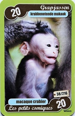 TCG Les héros de notre planète - 038 - Macaque crabier