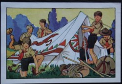 Image / Chromo - La vie fière et joyeuse des scouts - V-06 - Le dressage d'une tente