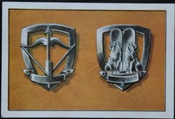 Image / Chromo - La vie fière et joyeuse des scouts - IX-02 - Insignes des éclaireurs de France