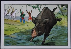 Image / Chromo - La vie fière et joyeuse des scouts - IV-02 - Un gros solitaire bondit