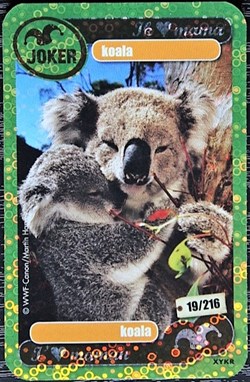 TCG Les héros de notre planète - 019 - Koala - Rare Brillante