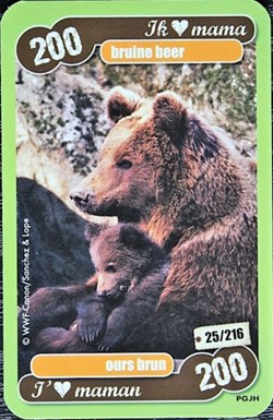 TCG Les héros de notre planète - 025 - Ours brun