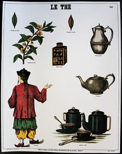Planche Documentation scolaire - Le thé - "Les fils d'Emile Deyrolle"