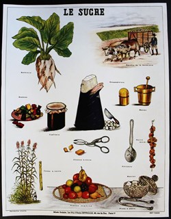 Planche Documentation scolaire - Le sucre - "Les fils d'Emile Deyrolle"