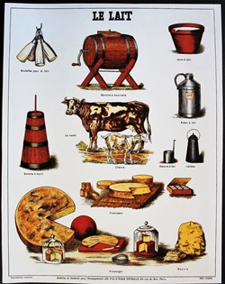 Planche Documentation scolaire - Le lait - "Les fils d'Emile Deyrolle"