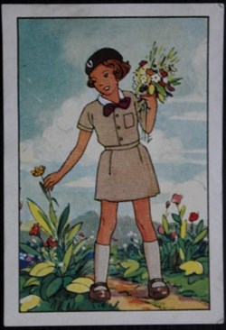 Image / Chromo - La vie fière et joyeuse des scouts - X-01 - Une petite aile