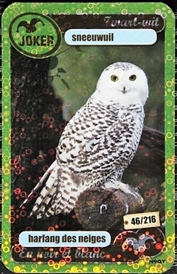 TCG Les héros de notre planète - 046 - Harfang des neiges - Rare Brillante