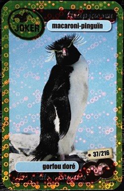 TCG Les héros de notre planète - 037 - Gorfou doré - Rare Brillante