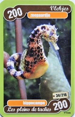 TCG Les héros de notre planète - 034 - Hippocampe