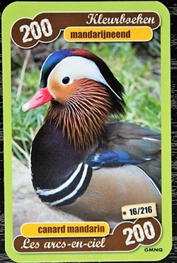 TCG Les héros de notre planète - 016 - Canard mandarin