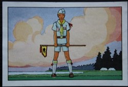 Image / Chromo - La vie fière et joyeuse des scouts - XI-03 - Un scout danois