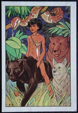 Image / Chromo - La vie fière et joyeuse des scouts - VII-01 - Mowgli, le premier louveteau