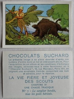 Image / Chromo - La vie fière et joyeuse des scouts - IV-07 - Le sanglier bondit
