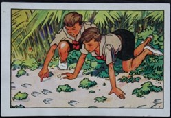 Image / Chromo - La vie fière et joyeuse des scouts - IX-06 - Le scoutisme apprend à lire